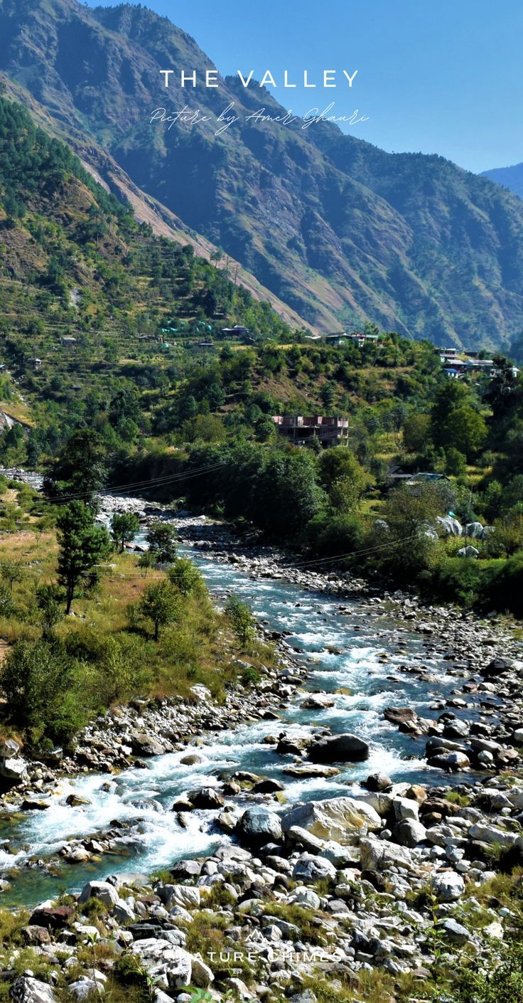 Terraced fruit orchards on a steep Himalayan hillside